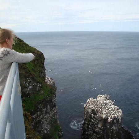 Guesthouse Lyngholt Þórshöfn Zewnętrze zdjęcie