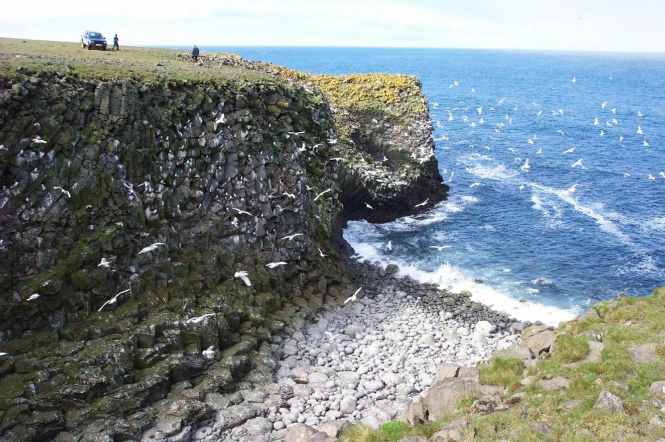 Guesthouse Lyngholt Þórshöfn Zewnętrze zdjęcie