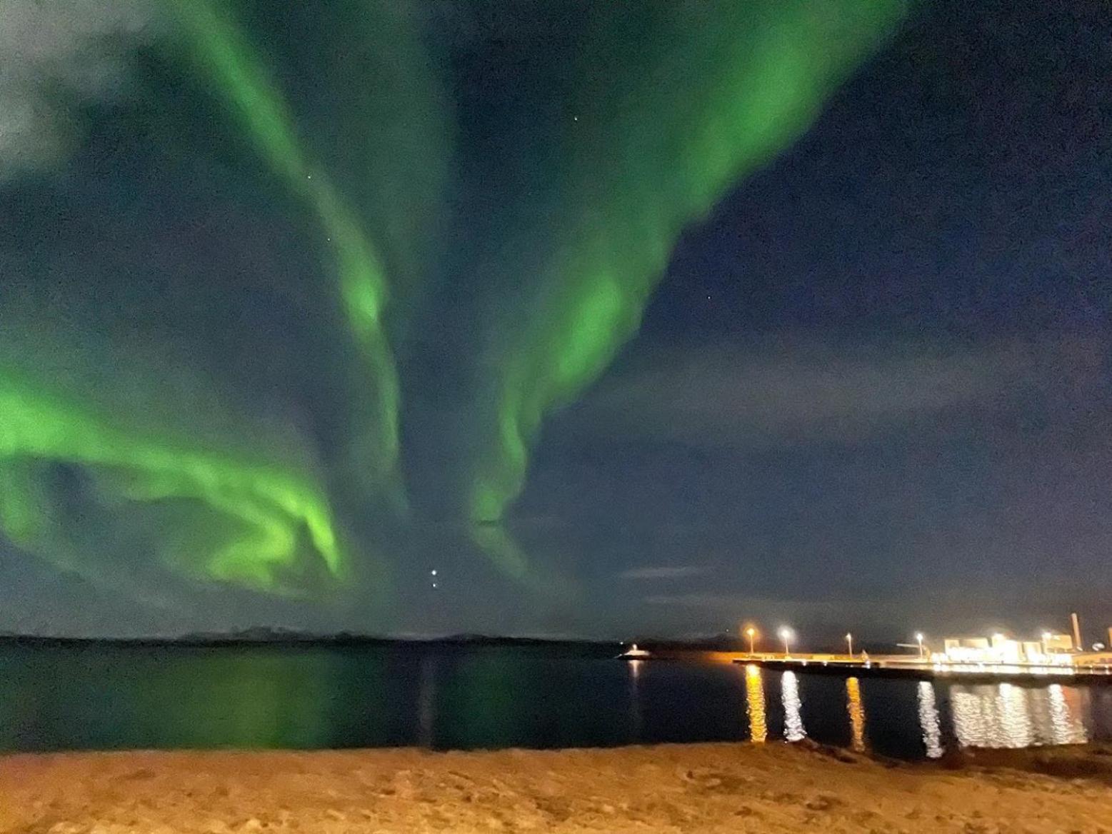 Guesthouse Lyngholt Þórshöfn Zewnętrze zdjęcie